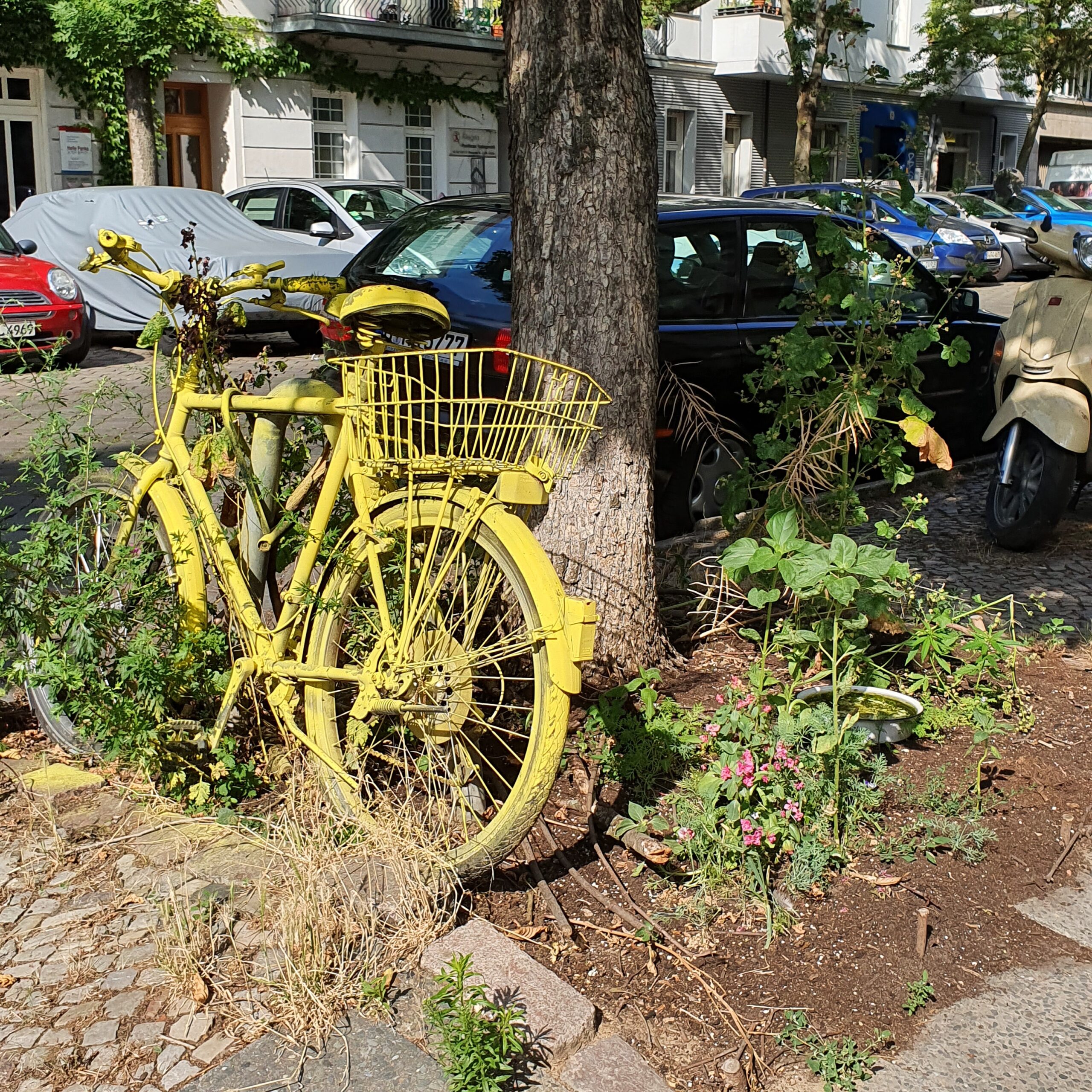 Vélo